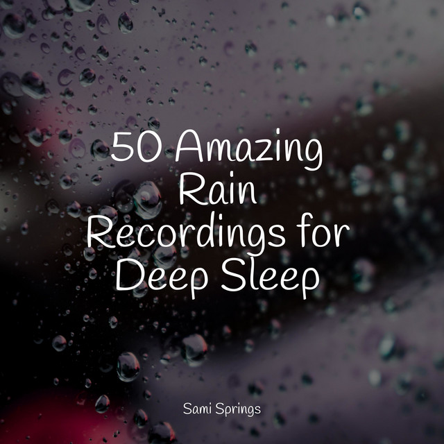 50 Amazing Rain Recordings for Deep Sleep - Album by Meditação Clube ...