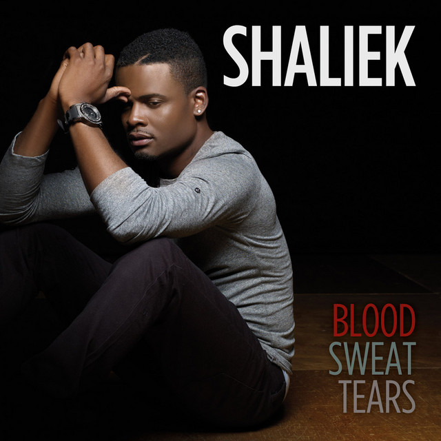 Blood Sweat Tears cover art