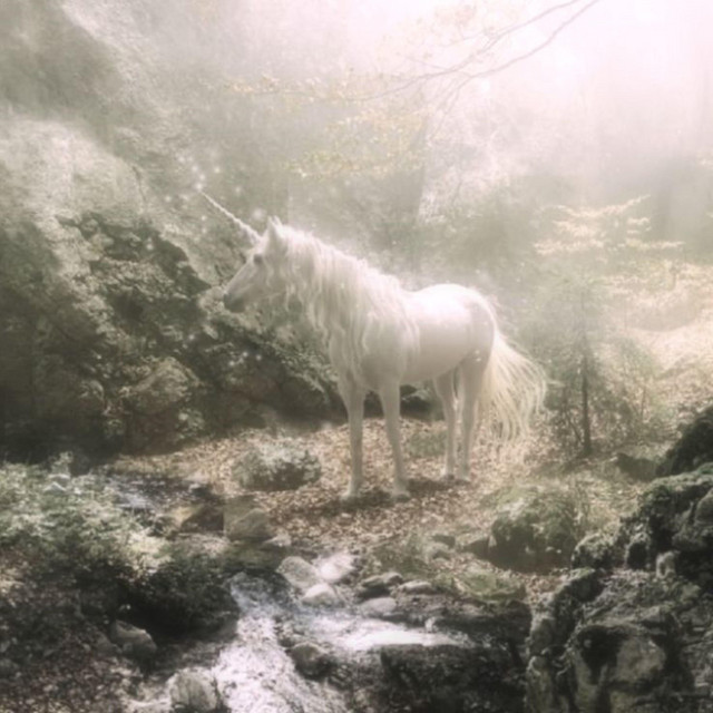 Обкладинка: unicorn - freestyle — xɛniaq