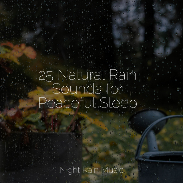 25 Natural Rain Sounds for Peaceful Sleep - Album by Academia de Música ...