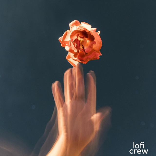 Focus with Delicate Lofi cover art