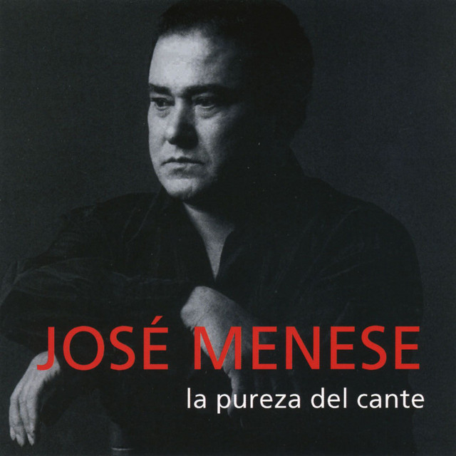 La pureza del cante cover