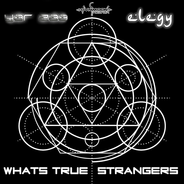 Whats True - Elegy Remix album art