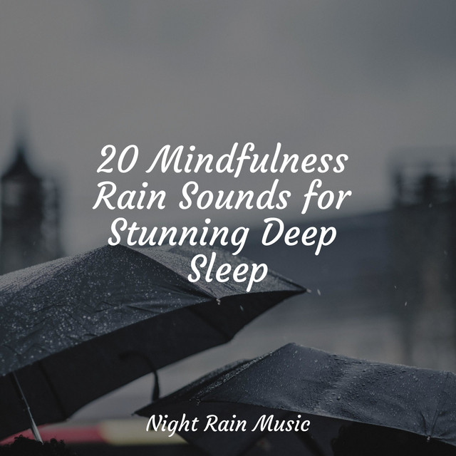 20 Mindfulness Rain Sounds for Stunning Deep Sleep - Album by Academia ...