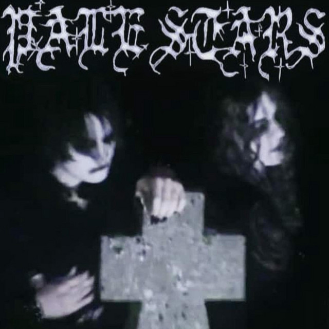 Обкладинка: Pale Stars — Selvnatt