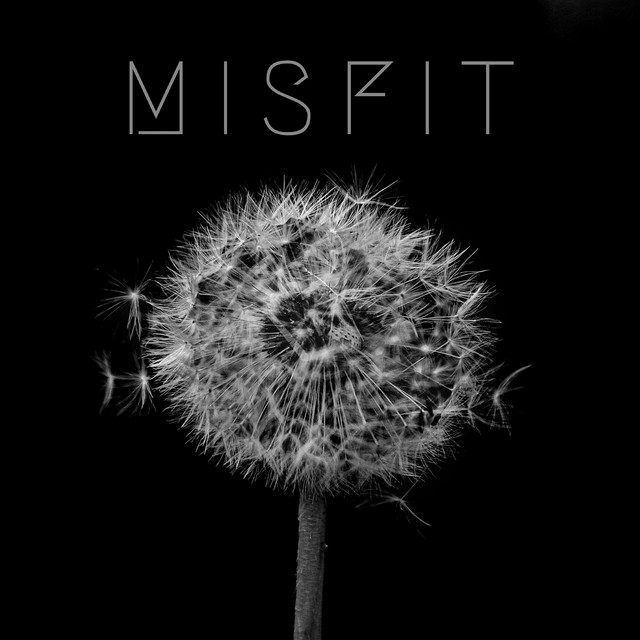 Misfit