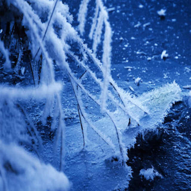 coldness