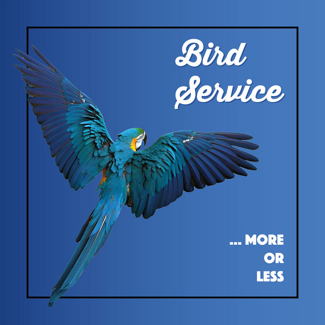 You Gotta Get Out Song And Lyrics By Bird Service Spotify