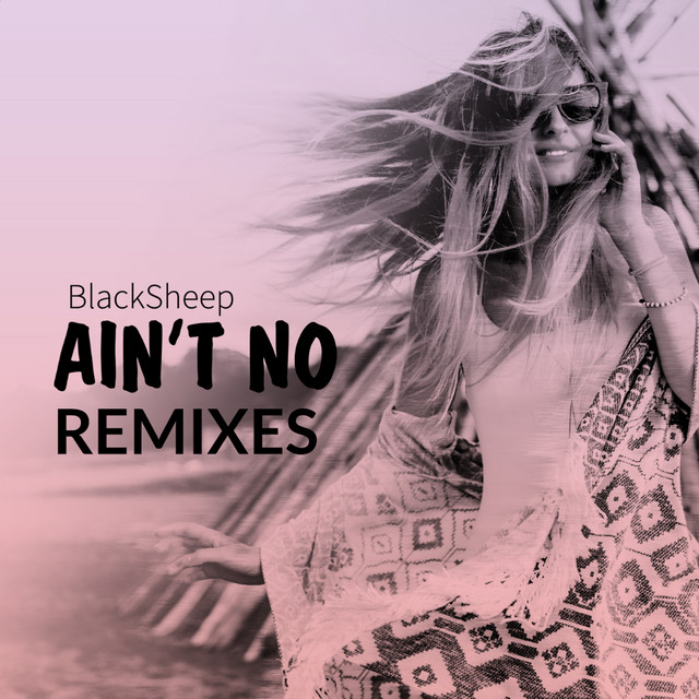 Ain't No (Remixes) cover