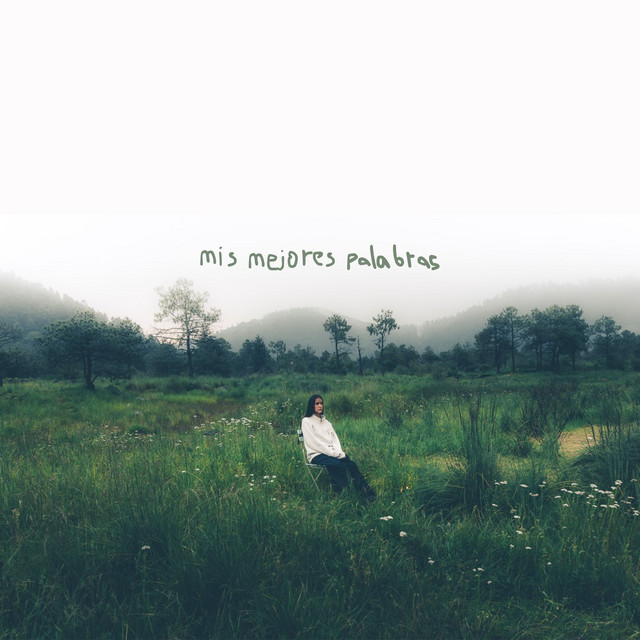 mis mejores palabras cover art