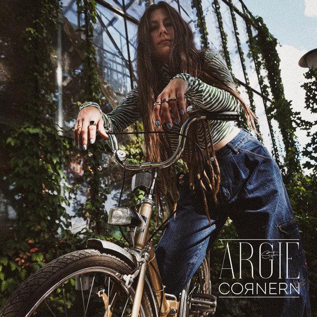 Cornern cover