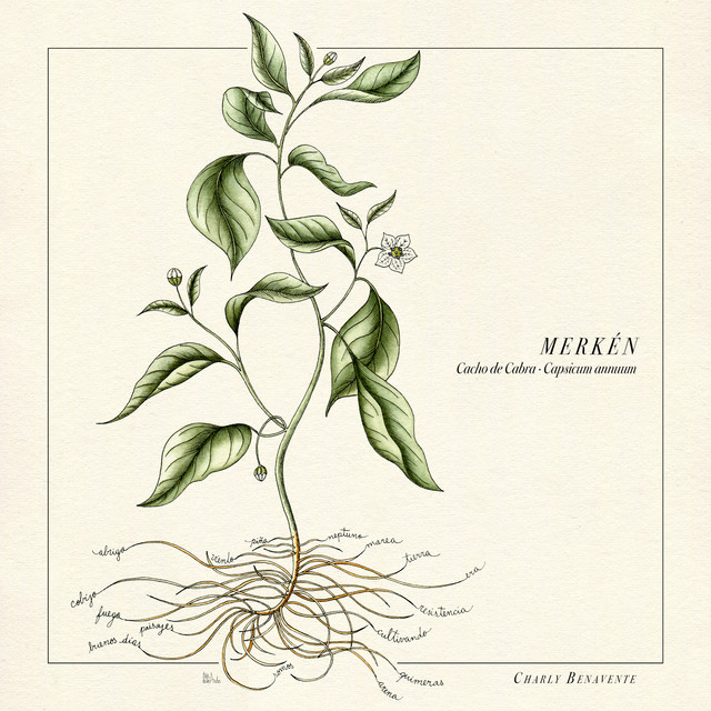 Merkén cover art