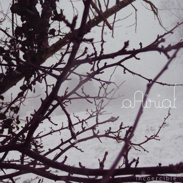 incoercible cover art