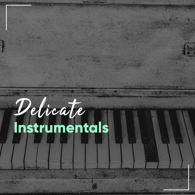 Delicate Instrumentals cover art