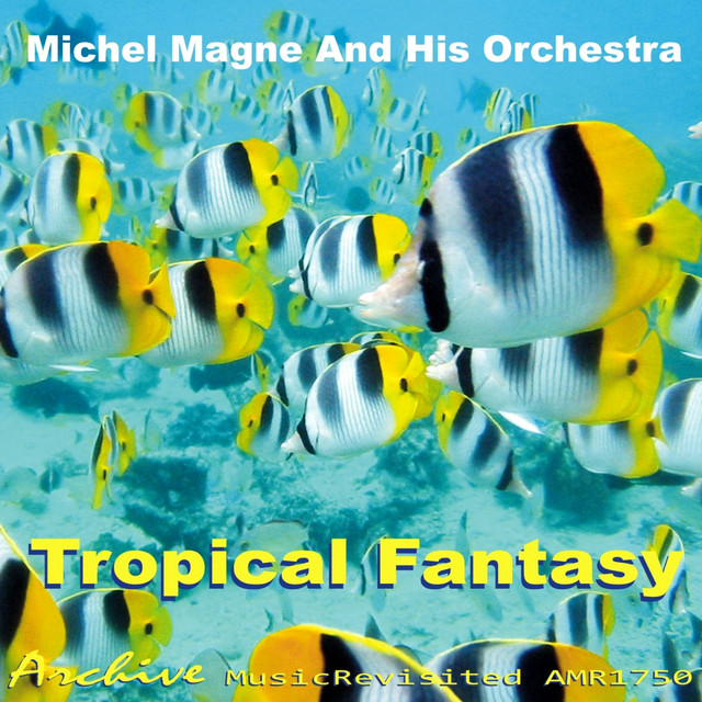 Michel Magne and His Orchestra photo