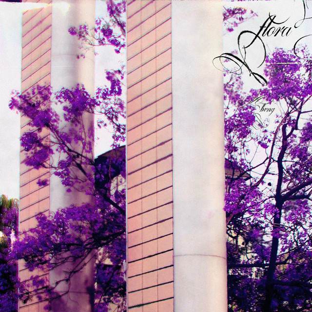 FLORA cover art