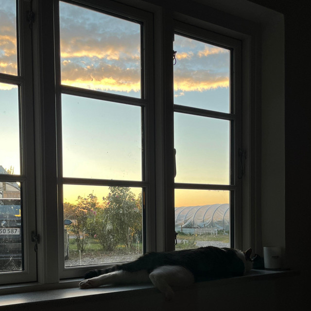 Så langt cover art
