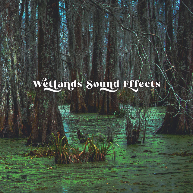 Wetlands Sound Effects cover art