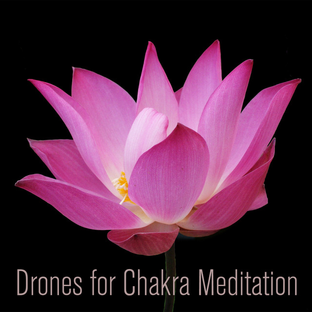 Drone For Sexual Chakra Meditation - D Major