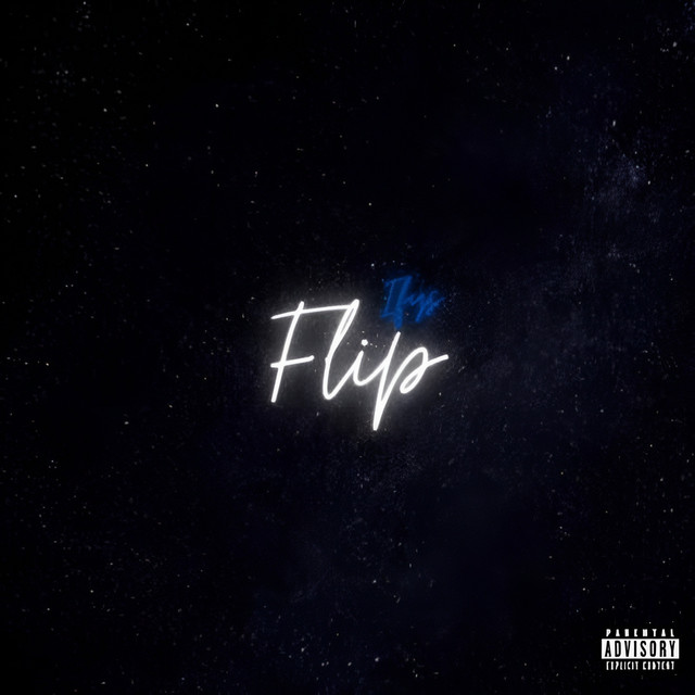 Flip cover art