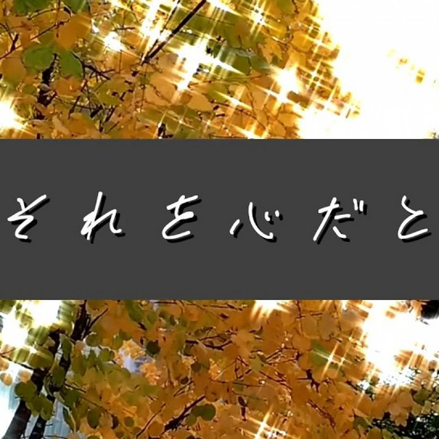 僕らはそれを心だと思ってる cover art