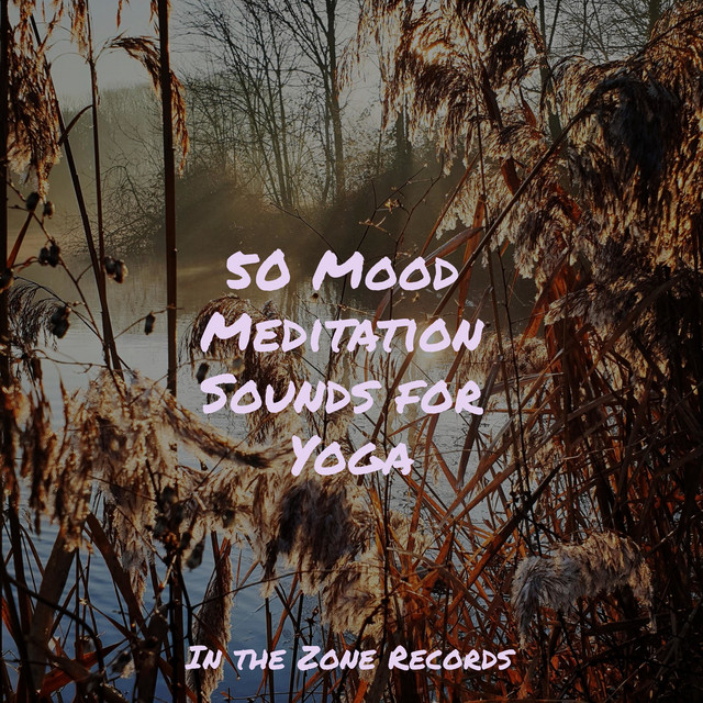 50 Mood Meditation Sounds for Yoga cover art