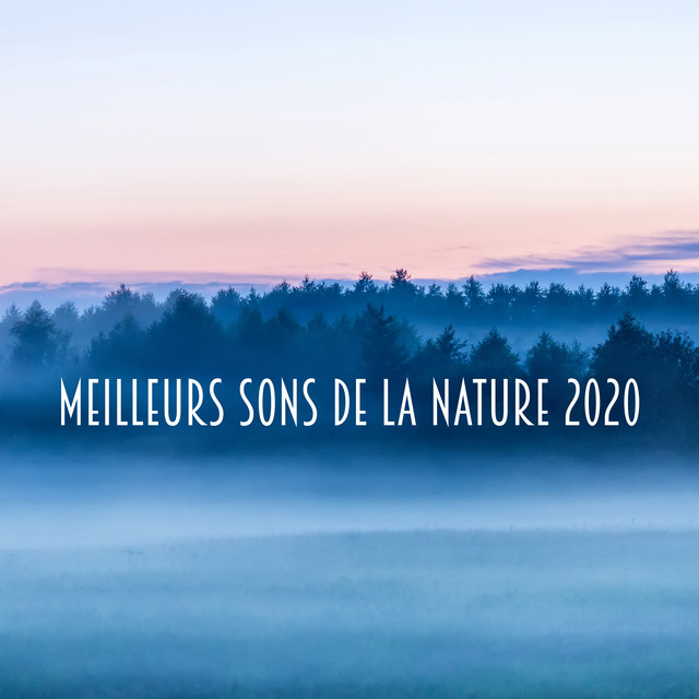 Meilleurs Sons de la Soothing Airflow 2020 cover art