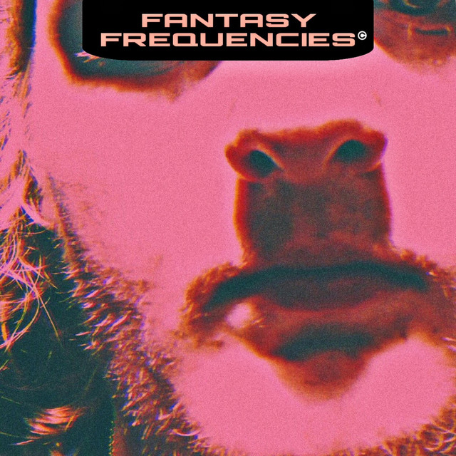 Fantasy Frequencies cover art