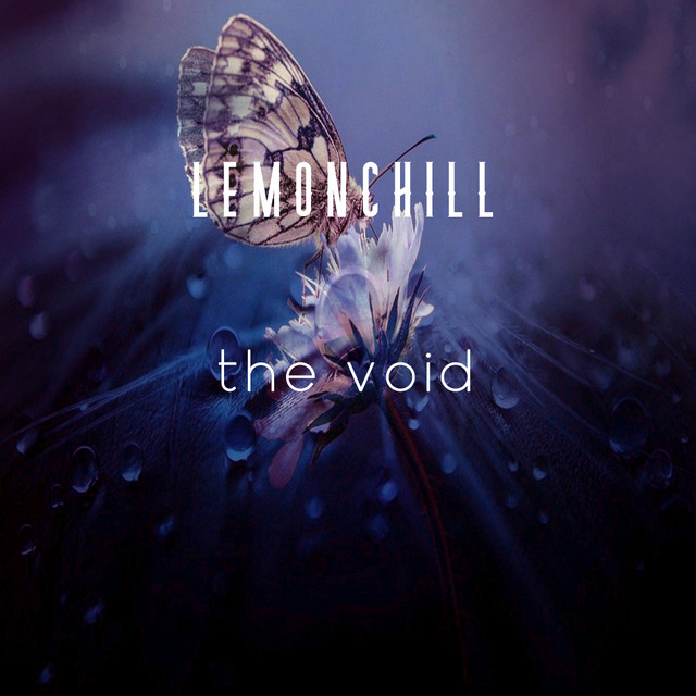 The Void cover art