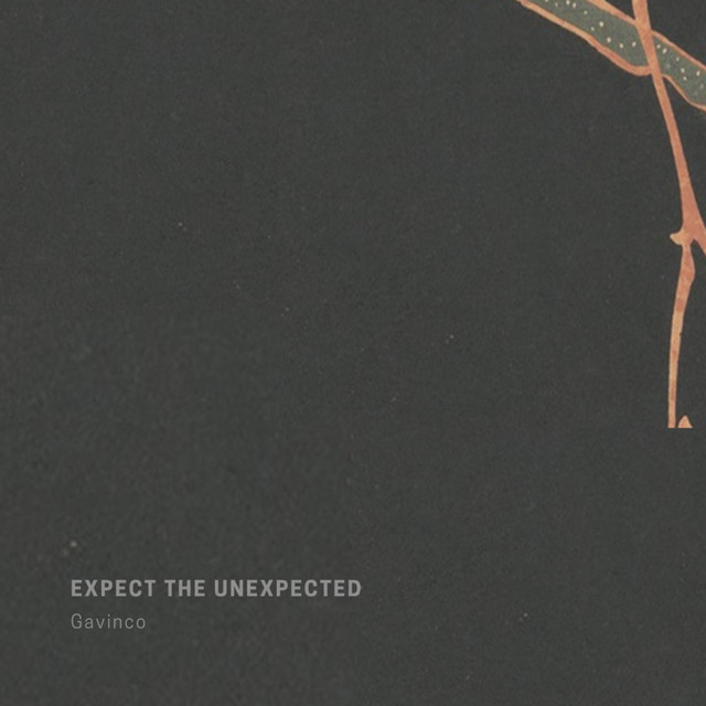 Expect The Unexpected cover art