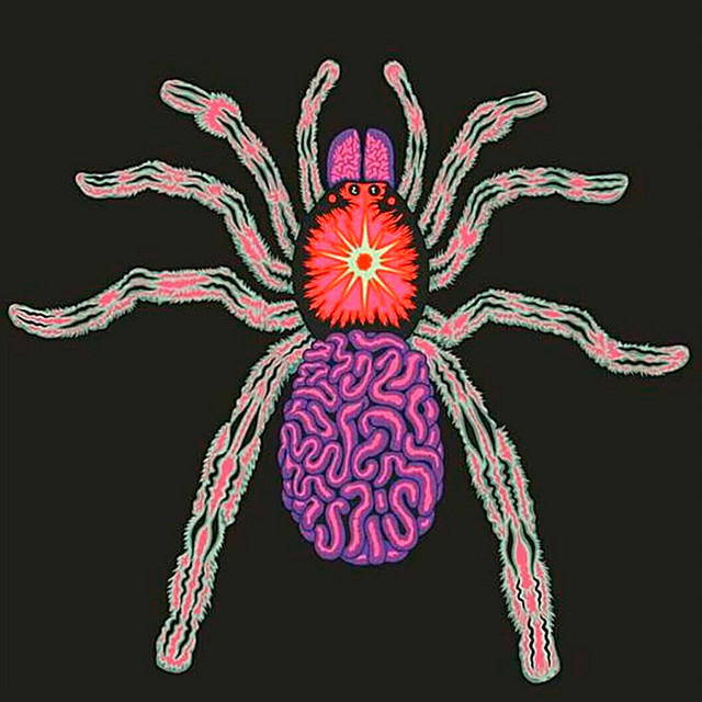 Tarantula cover art