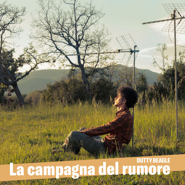 La campagna del rumore cover art