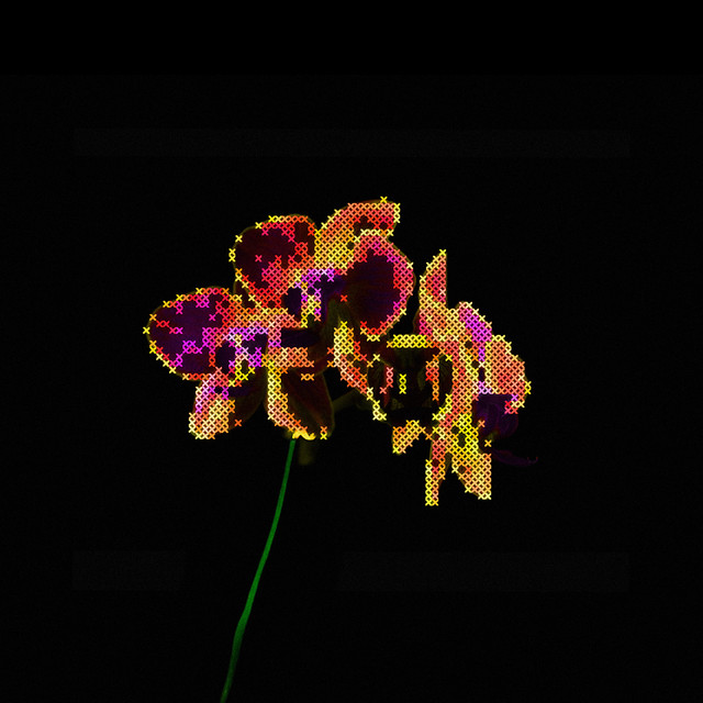 Stem cover art