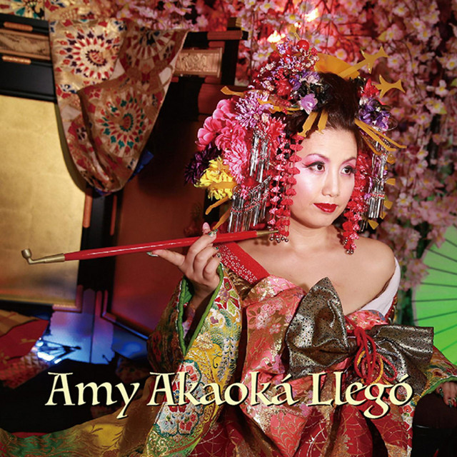 Amy Akaoka Llego cover art