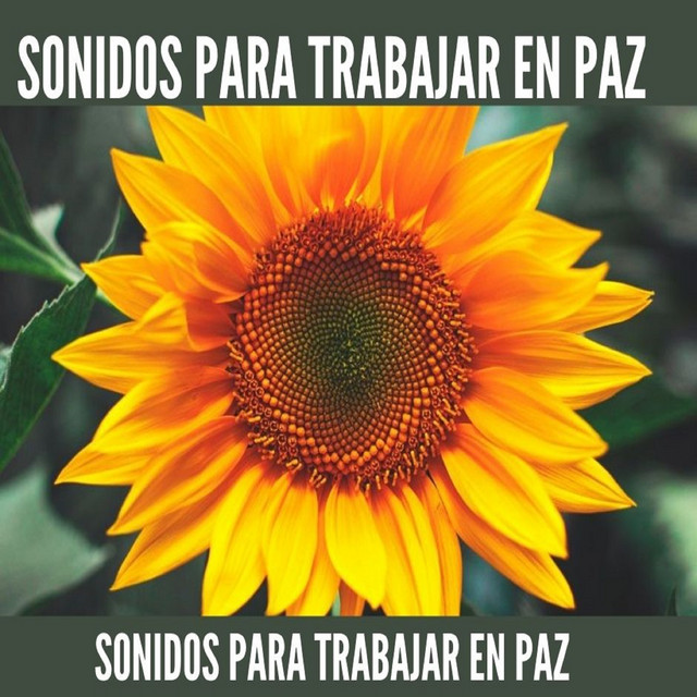 Sonidos Para Trabajar En Paz cover art