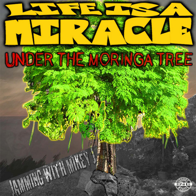 Jamming with Mikey J Vol.5 (Under the Moringa Tree) cover art