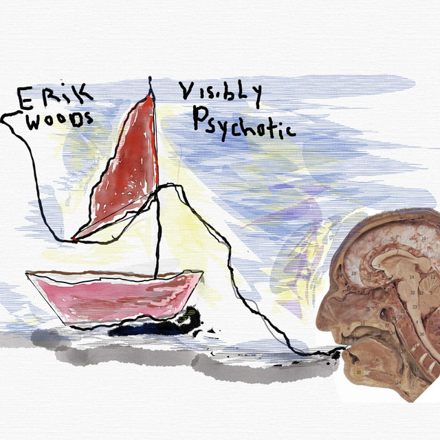 Visibly Psychotic cover