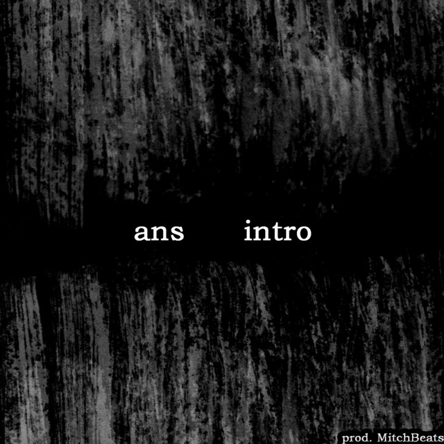 Intro cover art