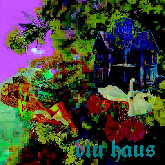Blu Haus cover art
