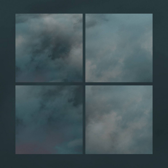 Surveillance cover