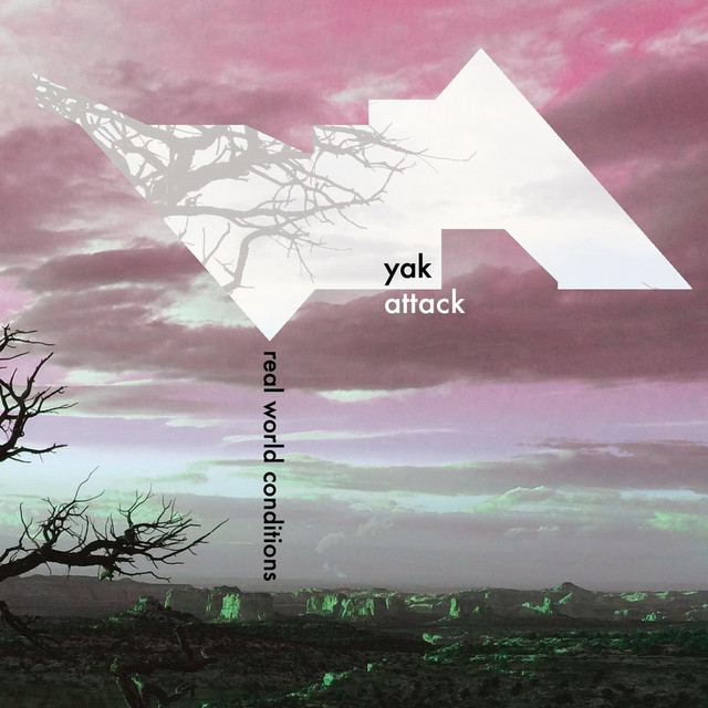 Real World Conditions cover art
