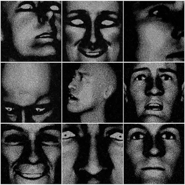 Human cover art