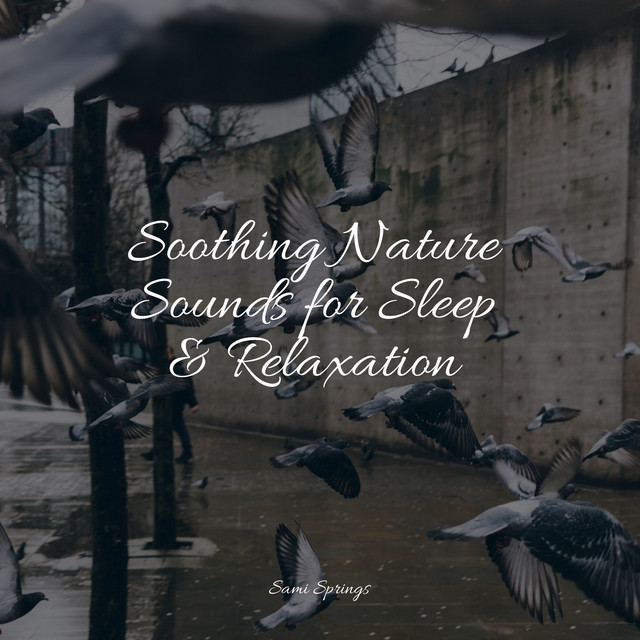 Soothing Nature Sounds for Sleep & Relaxation - Album by Kundalini Yoga ...