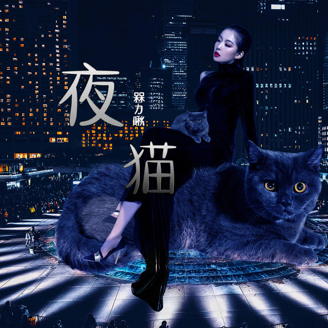 猫猫