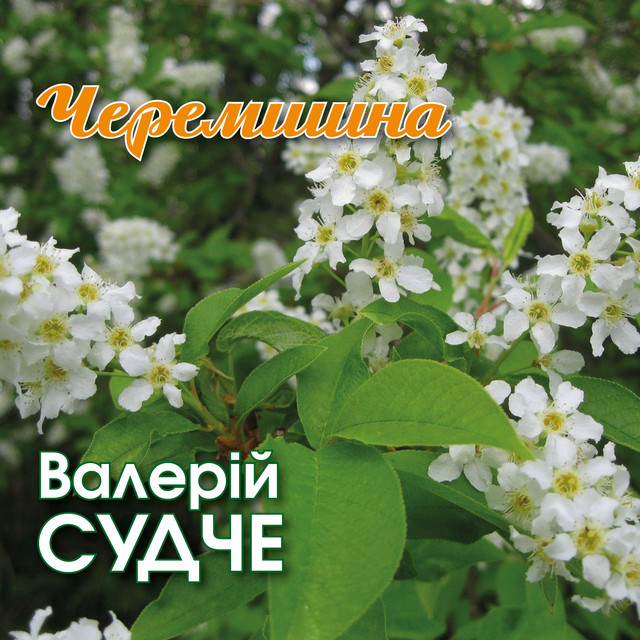 Обкладинка: Черемшина — Валерій Судче
