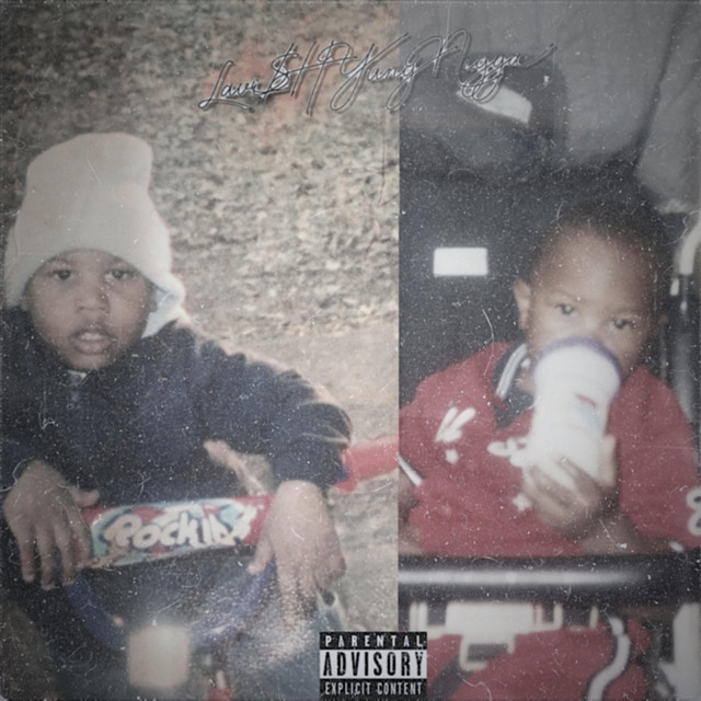 Lavish Young Nigga cover art
