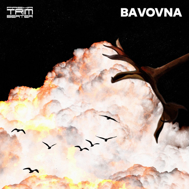 Обкладинка: Bavovna — Trimbeater