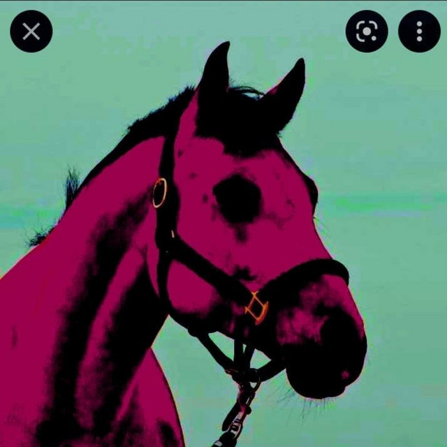 D.G.P. cover art