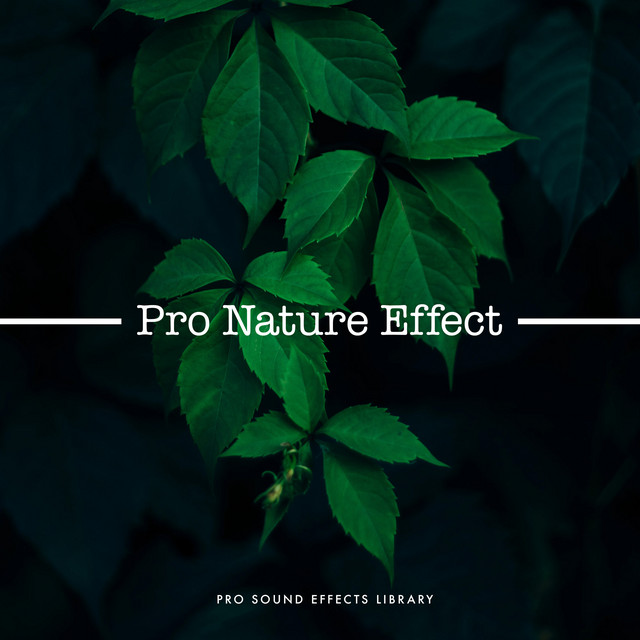 Pro Nature Effect - Album by Pro Sound Effects Library | Spotify