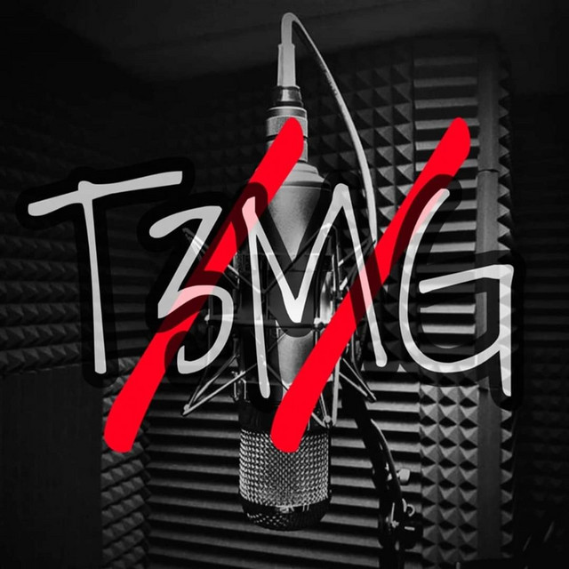 T3mg